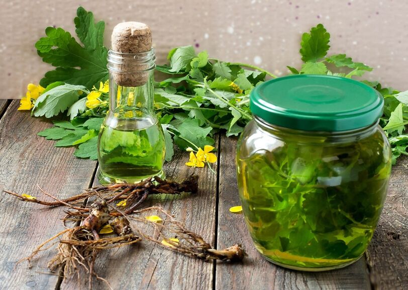 tintura de celidonia para prostatite